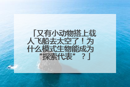 又有小动物搭上载人飞船去太空了！为什么模式生物能成为“探索代表”？