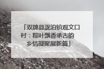 双牌县泷泊镇观文口村：粽叶飘香承古韵 乡情凝聚展新篇