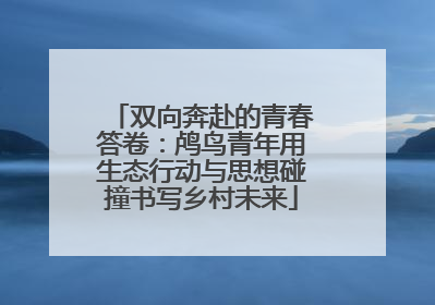 双向奔赴的青春答卷：鸬鸟青年用生态行动与思想碰撞书写乡村未来