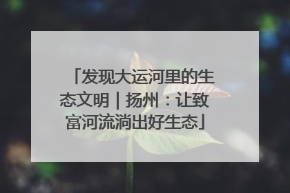 发现大运河里的生态文明｜扬州：让致富河流淌出好生态