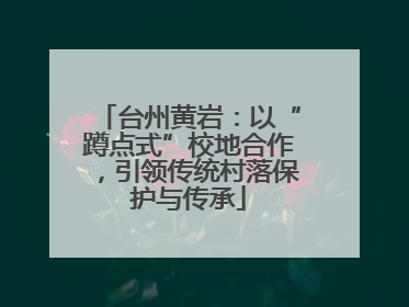 台州黄岩：以“蹲点式”校地合作，引领传统村落保护与传承