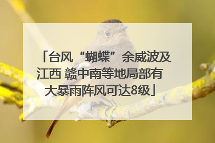 台风“蝴蝶”余威波及江西 赣中南等地局部有大暴雨阵风可达8级
