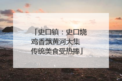 史口镇：史口烧鸡香飘黄河大集 传统美食受热捧