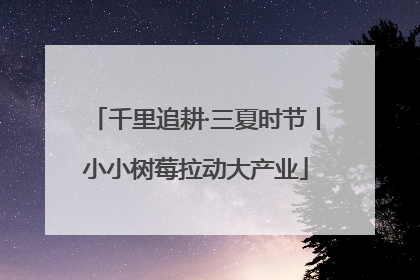千里追耕·三夏时节丨小小树莓拉动大产业
