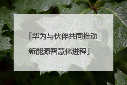 华为与伙伴共同推动新能源智慧化进程