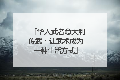 华人武者意大利传武：让武术成为一种生活方式