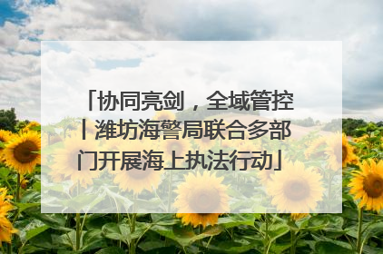 协同亮剑，全域管控丨潍坊海警局联合多部门开展海上执法行动