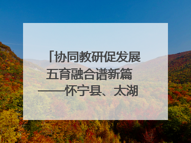 协同教研促发展 五育融合谱新篇——怀宁县、太湖县联合教研活动在月山镇中心学校成功举办