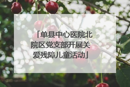 单县中心医院北院区党支部开展关爱残障儿童活动