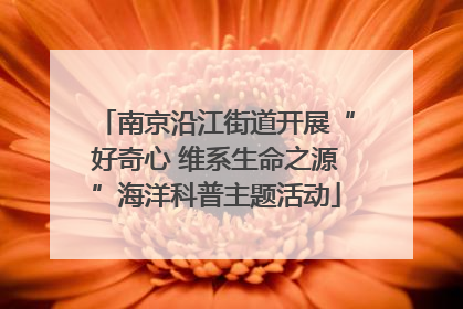 南京沿江街道开展“好奇心 维系生命之源”海洋科普主题活动