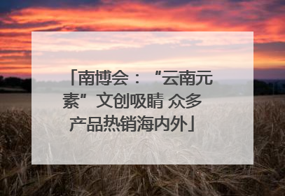 南博会：“云南元素”文创吸睛 众多产品热销海内外