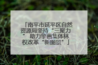 南平市延平区自然资源局坚持“三聚力” 助力擎画集体林权改革“新图景”