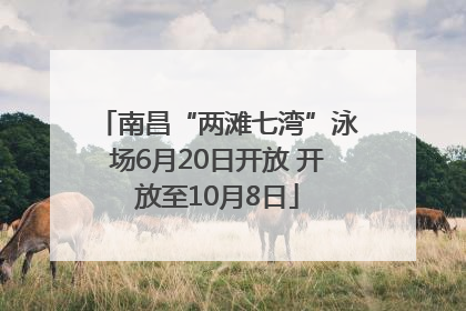 南昌“两滩七湾”泳场6月20日开放 开放至10月8日