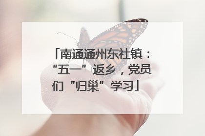 南通通州东社镇：“五一”返乡，党员们“归巢”学习