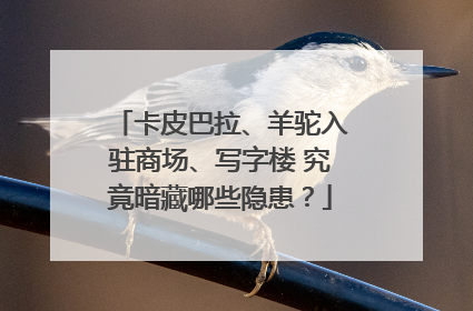 卡皮巴拉、羊驼入驻商场、写字楼 究竟暗藏哪些隐患？