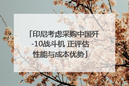 印尼考虑采购中国歼-10战斗机 正评估性能与成本优势