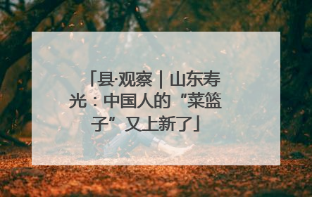 县·观察｜山东寿光：中国人的“菜篮子”又上新了