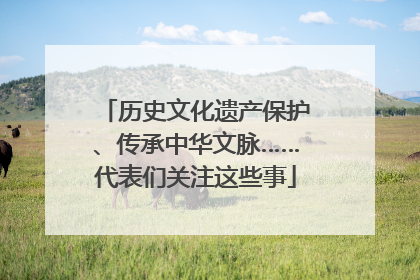 历史文化遗产保护、传承中华文脉……代表们关注这些事