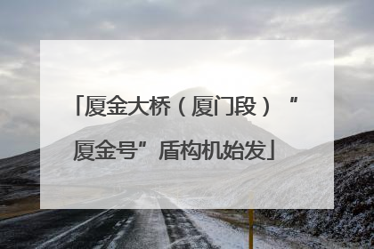 厦金大桥（厦门段）“厦金号”盾构机始发