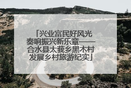兴业富民好风光 奏响振兴新乐章——合水县太莪乡黑木村发展乡村旅游纪实