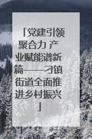 党建引领聚合力 产业赋能谱新篇——刁镇街道全面推进乡村振兴