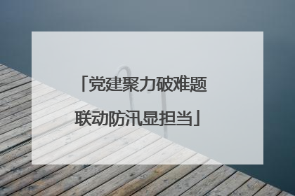 党建聚力破难题 联动防汛显担当