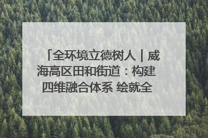 全环境立德树人｜威海高区田和街道：构建四维融合体系 绘就全环境立德树人新画卷