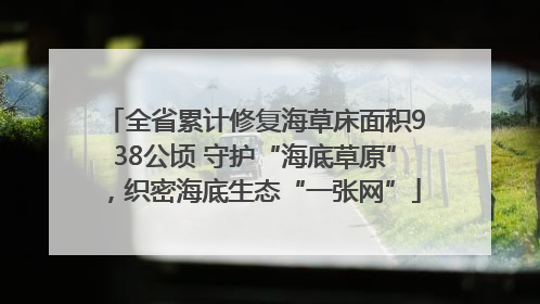 全省累计修复海草床面积938公顷 守护“海底草原”，织密海底生态“一张网”