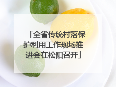 全省传统村落保护利用工作现场推进会在松阳召开