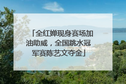 全红婵现身赛场加油助威，全国跳水冠军赛陈艺文夺金