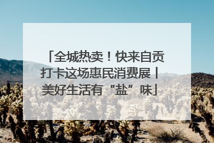 全城热卖！快来自贡打卡这场惠民消费展丨美好生活有“盐”味
