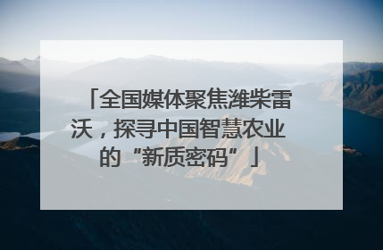 全国媒体聚焦潍柴雷沃，探寻中国智慧农业的“新质密码”