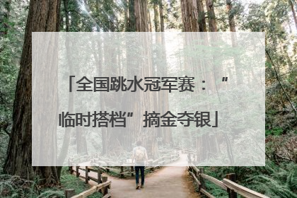 全国跳水冠军赛：“临时搭档”摘金夺银