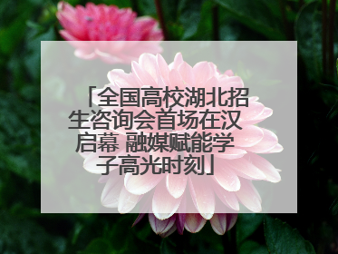 全国高校湖北招生咨询会首场在汉启幕 融媒赋能学子高光时刻