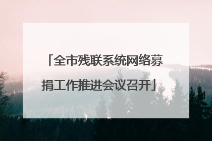 全市残联系统网络募捐工作推进会议召开