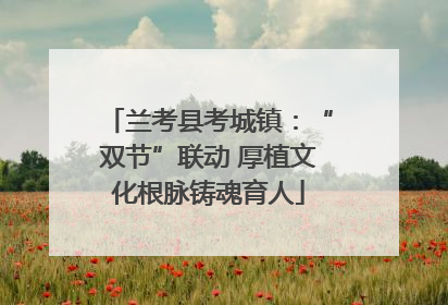 兰考县考城镇：“双节”联动 厚植文化根脉铸魂育人