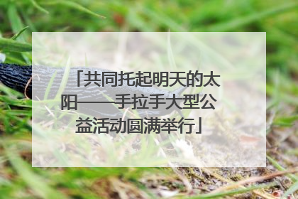 共同托起明天的太阳——手拉手大型公益活动圆满举行