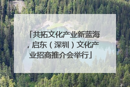 共拓文化产业新蓝海，启东（深圳）文化产业招商推介会举行