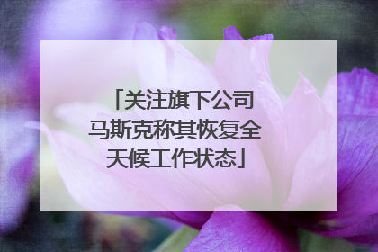 关注旗下公司 马斯克称其恢复全天候工作状态