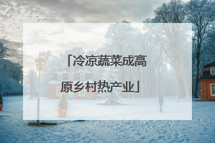冷凉蔬菜成高原乡村热产业