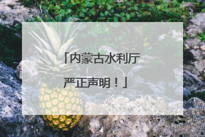 内蒙古水利厅严正声明！