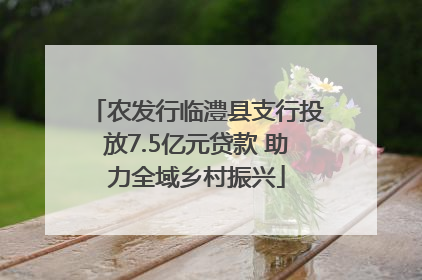 农发行临澧县支行投放7.5亿元贷款 助力全域乡村振兴