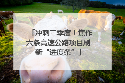 冲刺二季度！焦作六条高速公路项目刷新“进度条”