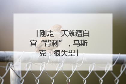 刚走一天就遭白宫“背刺”，马斯克：很失望