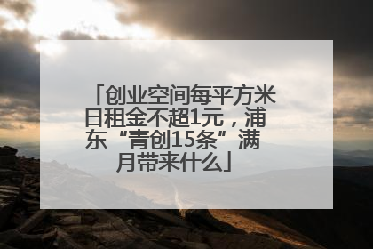 创业空间每平方米日租金不超1元，浦东“青创15条”满月带来什么