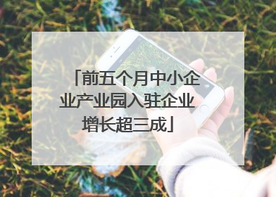 前五个月中小企业产业园入驻企业增长超三成