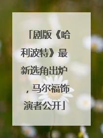 剧版《哈利波特》最新选角出炉，马尔福饰演者公开