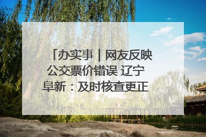 办实事｜网友反映公交票价错误 辽宁阜新：及时核查更正 加强实时巡检