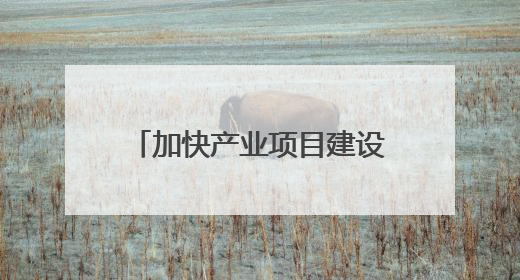 加快产业项目建设 发展新质生产力