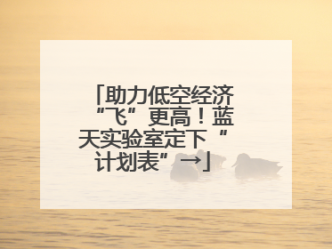 助力低空经济“飞”更高！蓝天实验室定下“计划表”→